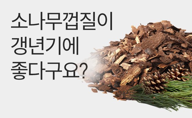 [피크노제놀 효능] 갱년기부터 혈행 건강까지, 피크노제놀의 3가지 효능